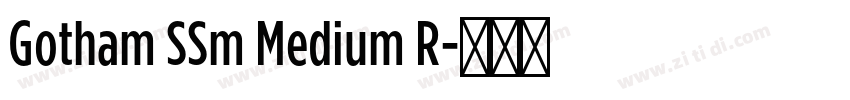 Gotham SSm Medium R字体转换